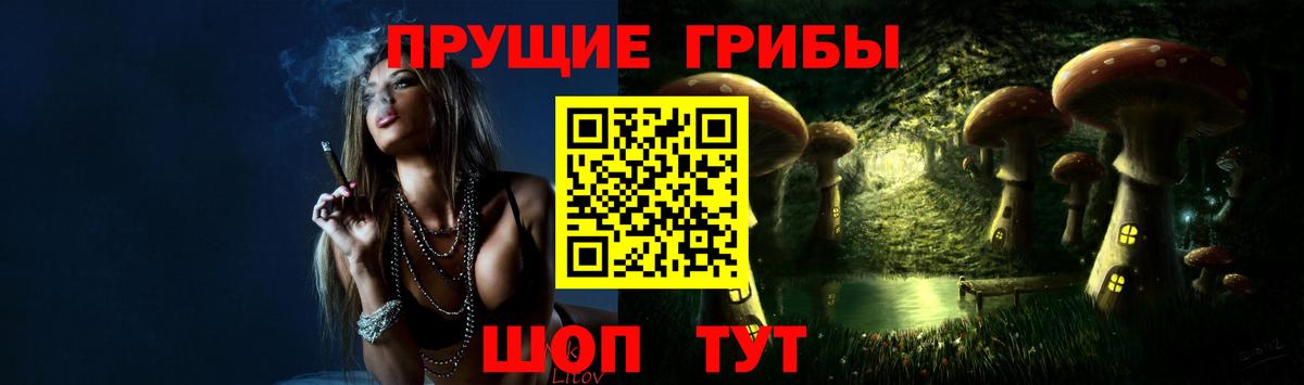 где продают наркотики  Псилоцибиновые грибы MAGIC MUSHROOMS  Псилоцибиновые грибы Magic Shrooms  Вход с VPN  Алушта 
